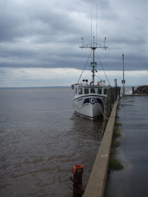 White_boat_high_tide