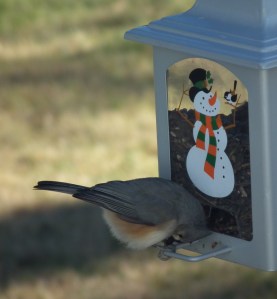 bows her head to pray before meals